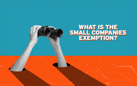 what-is-the-small-companies-exemption